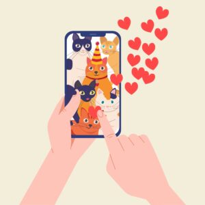 News App Development